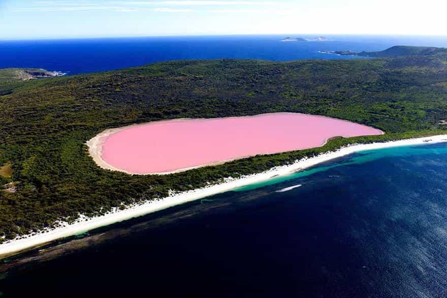 Розовое озеро Hilier 1