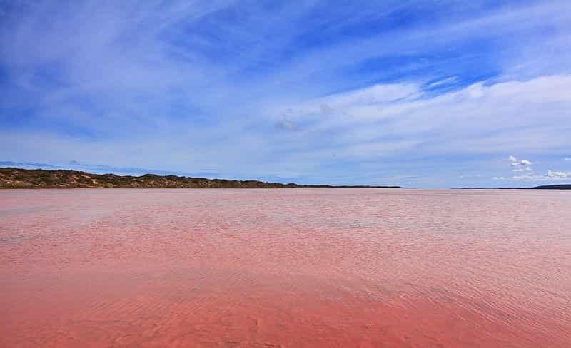 Розовое озеро Hilier 3