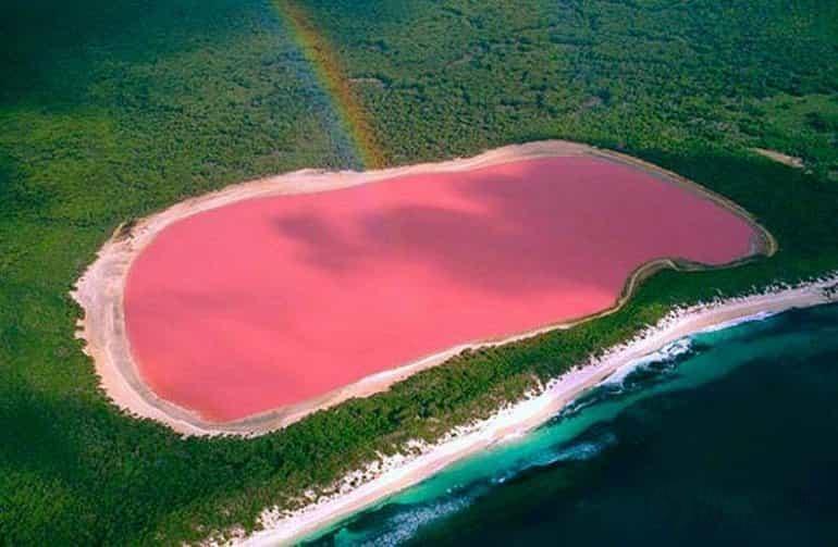 Розовое озеро Hilier 4