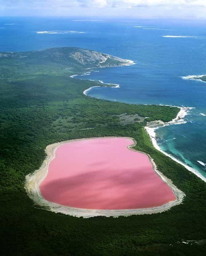 Розовое озеро Hilier 5