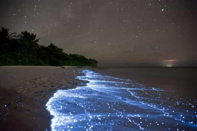 Биолюминесцентные волны на мальдивских пляжах.
