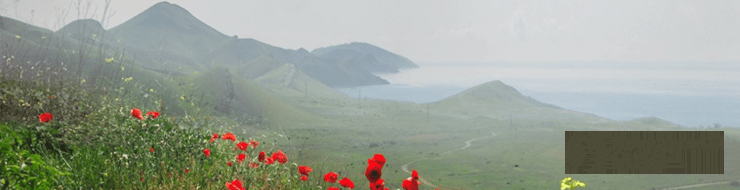 Крым весной (фото)