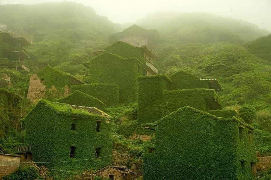 Зеленые дома на холмах