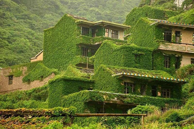 Зеленые дома на холмах оказались бежевыми