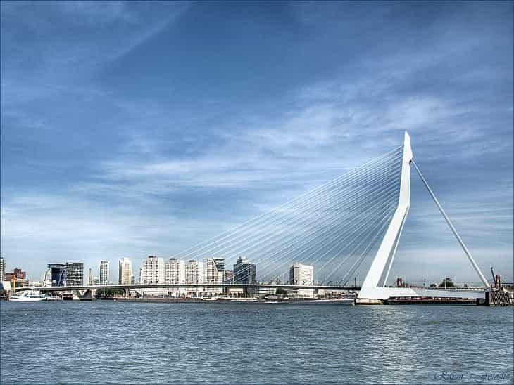 Мост Эразма, Роттердам 1