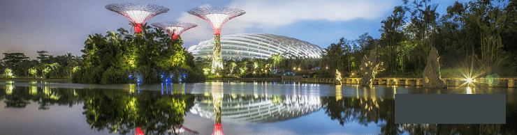 Новое чудо света . Висячие сады Сингапура