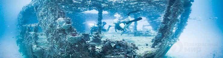 Подводный музеи погибших кораблей: Harlequin