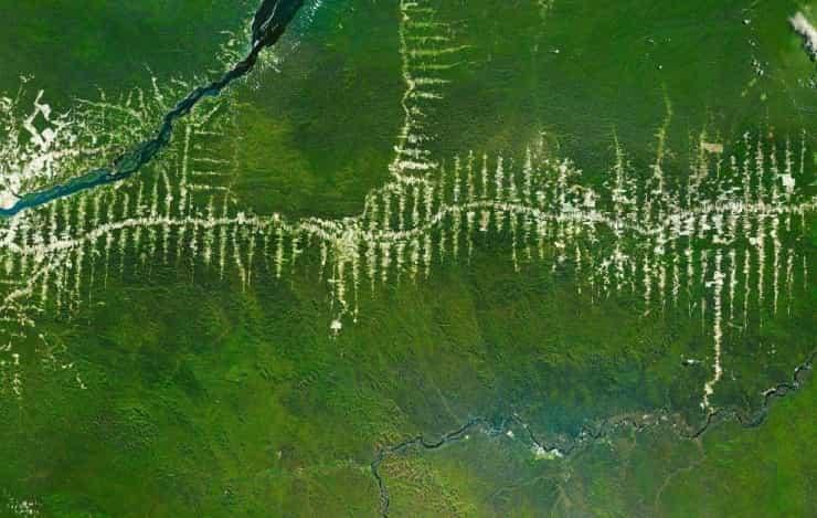 Уничтожение и вырубка тропических лесов Амазонки в Бразилии. Из космоса видны «облысения».