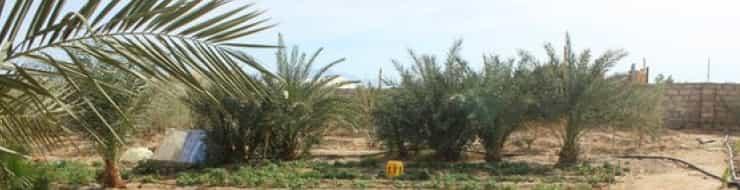Органическая ферма и кемп в Нувейбе.