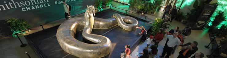 Титанобоа: самая большая змея среди существовавших