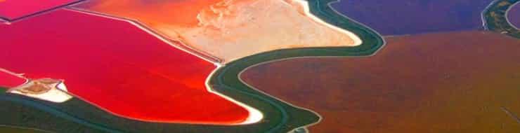 Соляные пруды в заливе Сан-Франциско - кто покрасил водоемы?
