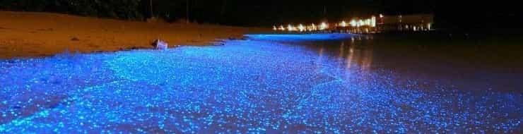 Необычный светящийся пляж на Мальдивах