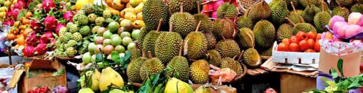 Какие фрукты можно вывозить из Таиланда?