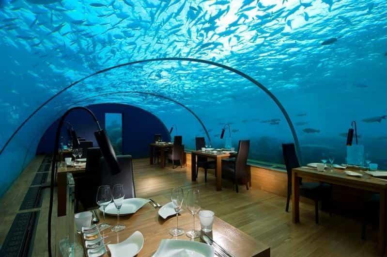 Ithaa - Ресторан под толщей воды