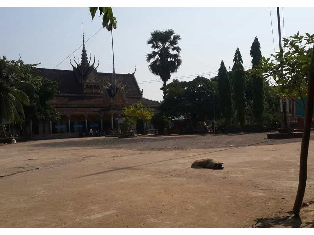 Камбоджа, местный колорит
